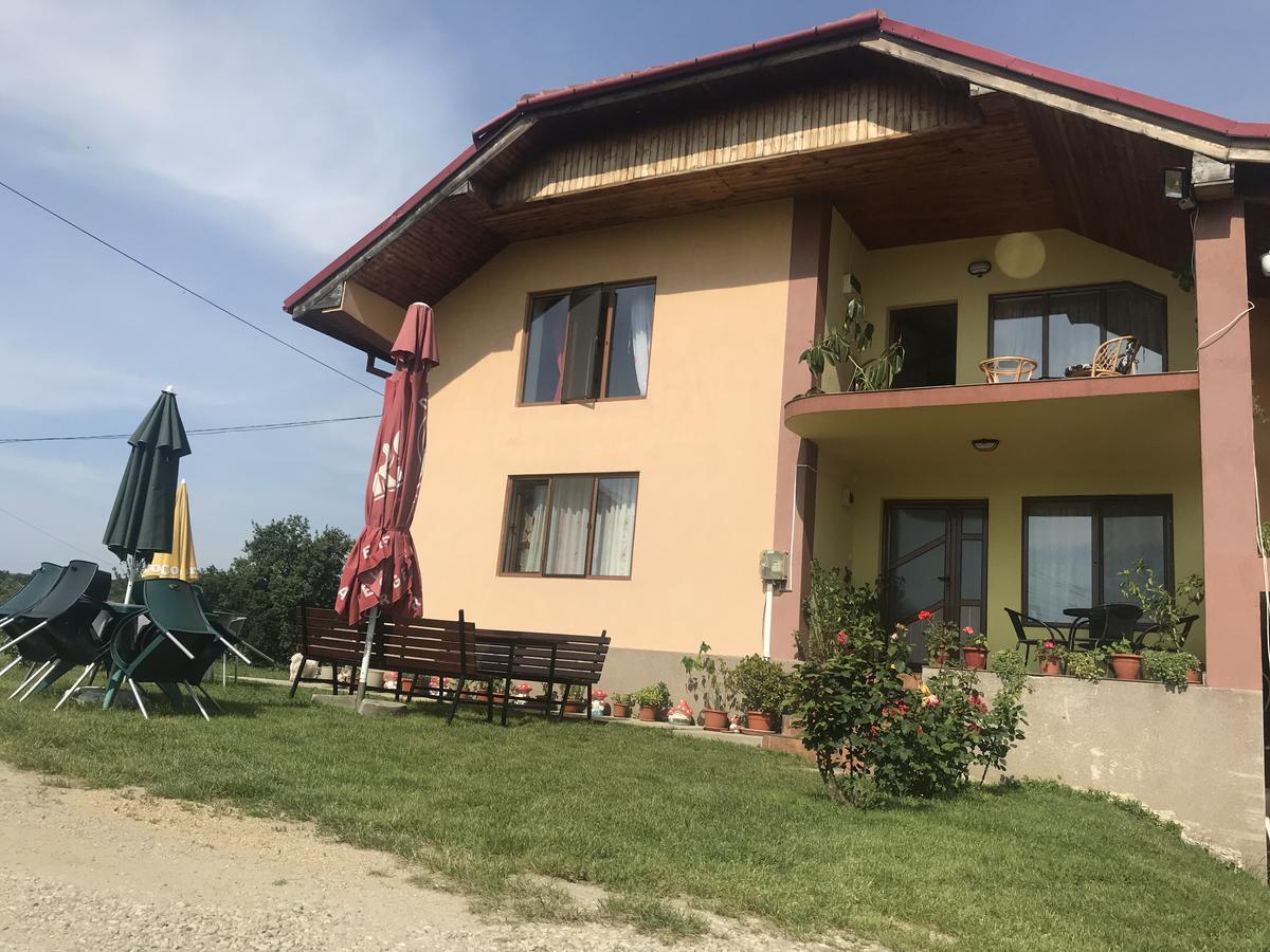 Casa De Vacanta Madalina Novaci-Străini Kültér fotó